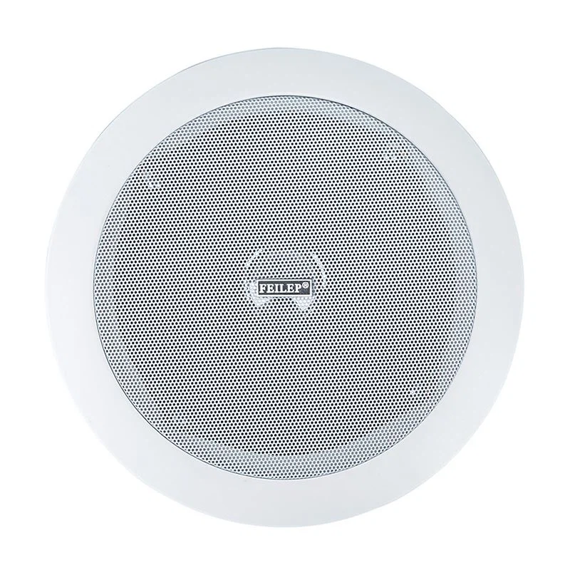 Background Music In Ceiling in Wall Speakers Background Music In Ceiling in Wall Speakers